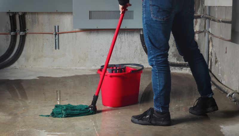 Basement Vacuuming in Frisco, TX