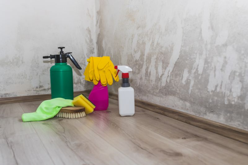 Mold Restoration in Dallas, TX