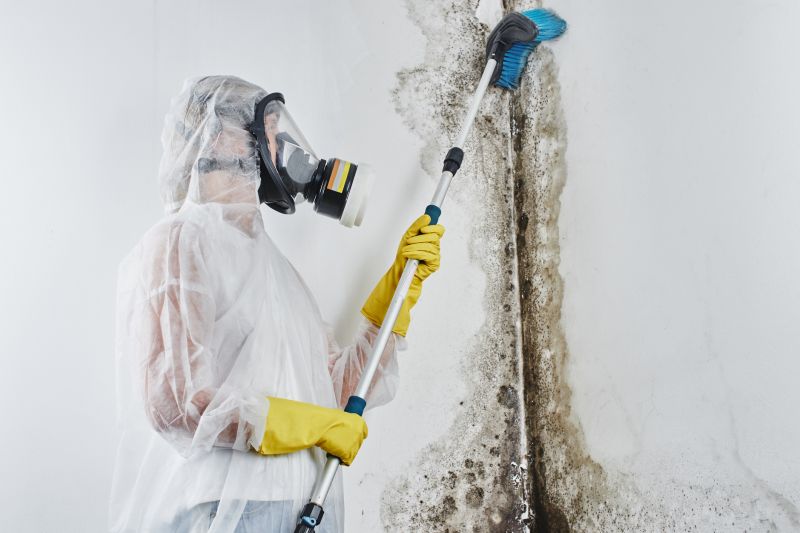 Air Duct Mold Removal in Fort Lauderdale, FL