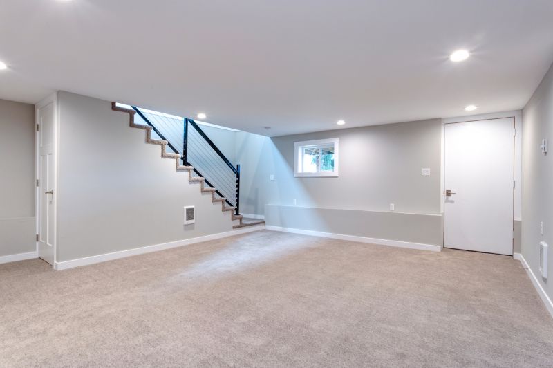 Basement Cleaning Service in Frisco, TX