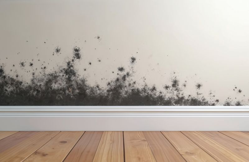 Black Mold Remediation in West Palm Beach, FL