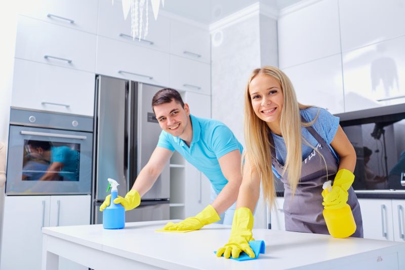 Kitchen Cleaning in Frisco, TX
