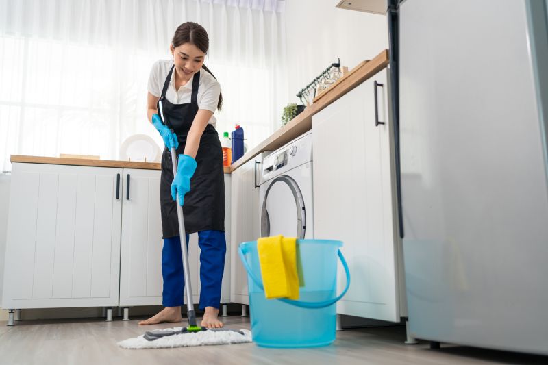 Kitchen Cleaning in Kent, WA