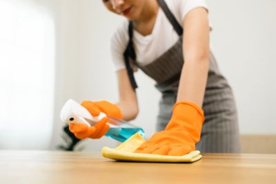 Maid Service in Palm Coast, FL