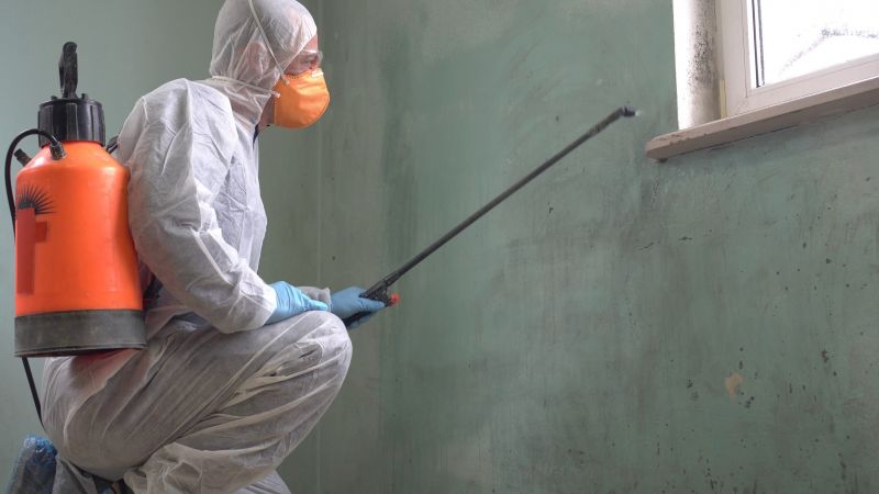 Mold Abatement in Mckinney, TX