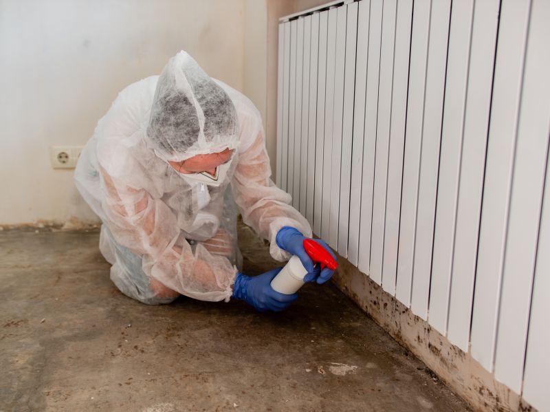 Mold Remediation Service in Frisco, TX