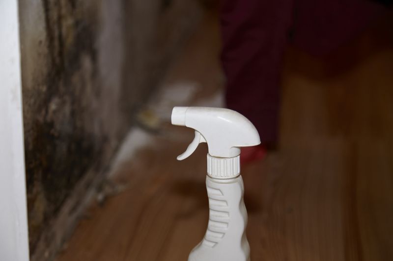 Mold Restoration in Jupiter, FL