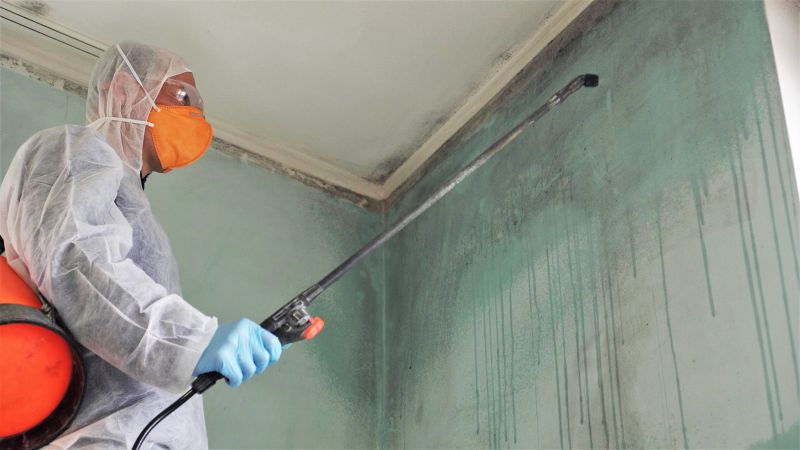 Mold Restoration in Essex County, NJ