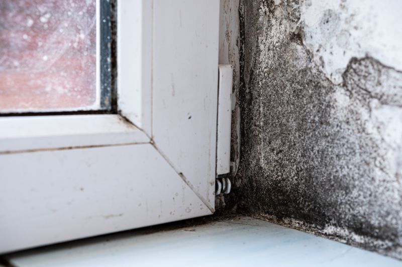 Mold Restoration in Essex County, NJ
