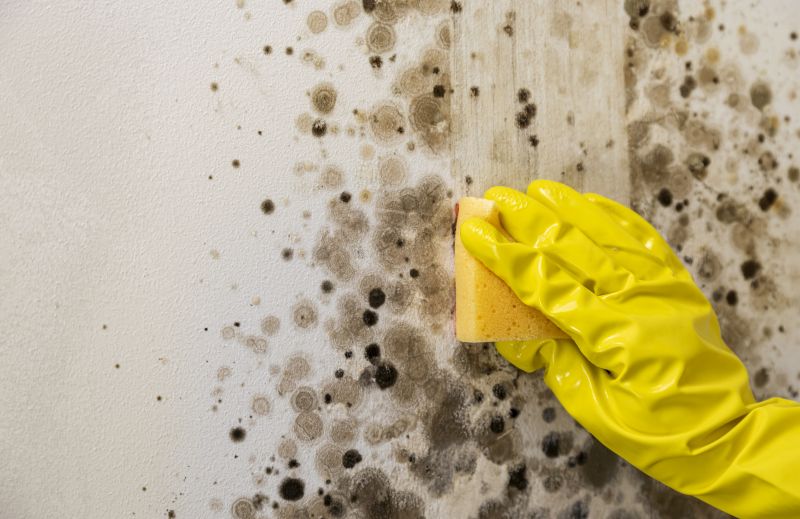Mold Restoration in West Palm Beach, FL