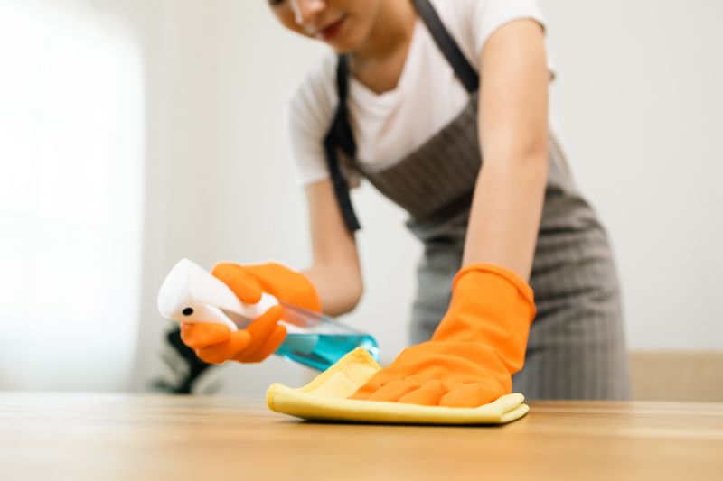 Tenancy Cleaning in Renton, WA