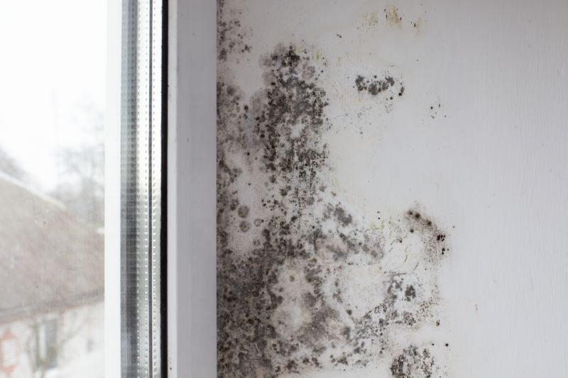White Mold Mitigation in Fort Lauderdale, FL